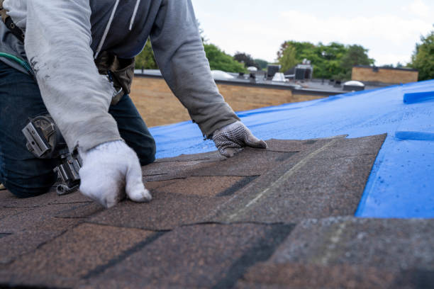 Best Roof Ventilation Installation  in Santa Rosa Valley, CA